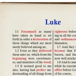 Luke 7 1-10 bible study questions