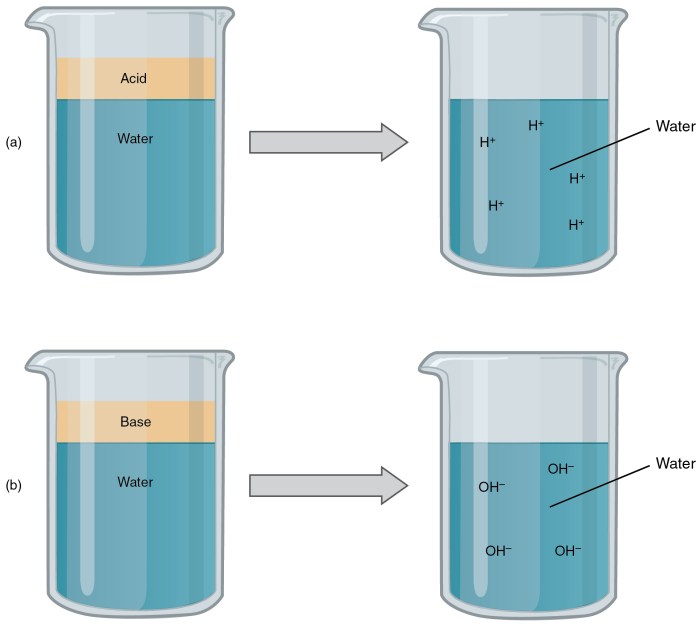 Solutions acids and bases portfolio