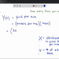 How many bushels of apples per tree