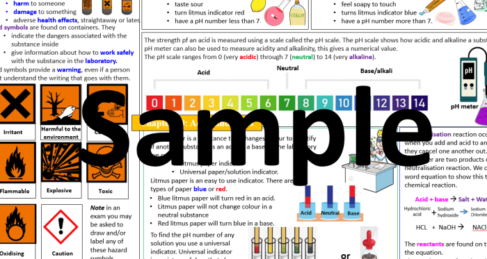 Solutions acids and bases portfolio