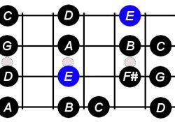 Scale bass minor guitar notes scales note play neck diagram strings stave cases possible than some other