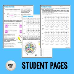 Macromolecules guided practice answer key