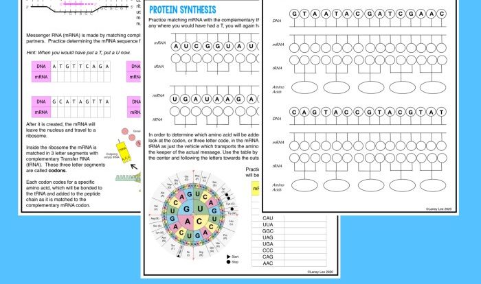 Macromolecules guided practice answer key