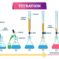 Solutions acids and bases portfolio