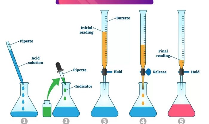 Solutions acids and bases portfolio