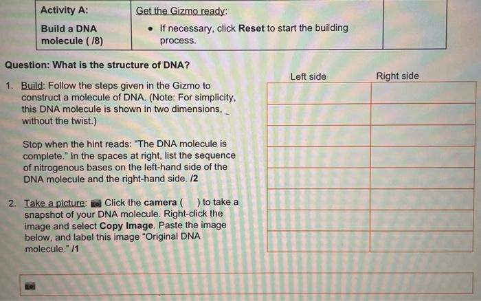 Gizmo building dna answer key