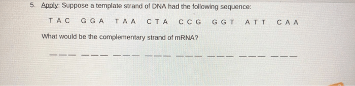 Gizmo building dna answer key