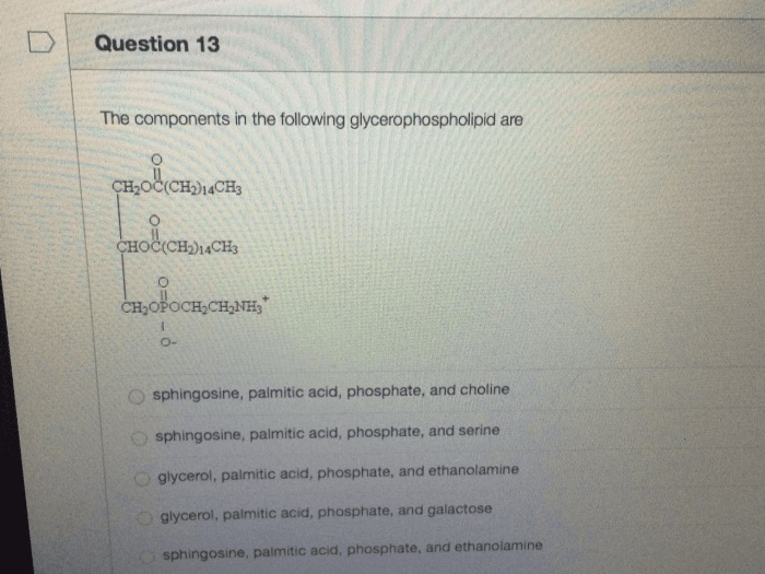 Triglyceride molecule fats chemistry fatty glycerol esters alcohol acids triglycerides lipids form composed